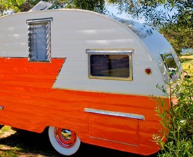 Litchfield Tourist Park - Taree Accommodation 1