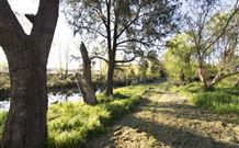 Fossickers Tourist Park - Taree Accommodation 5