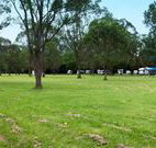 Gloucester Holiday Park - Taree Accommodation