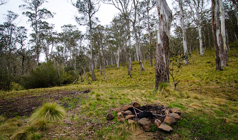 Tomalla NSW Taree Accommodation