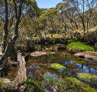 Junction Pools campground - Taree Accommodation