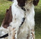 Merimbula Lake Holiday Park - Taree Accommodation