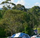 Milton Valley Holiday Park - Taree Accommodation