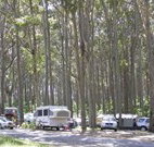 Mystery Bay Camping Area - Taree Accommodation
