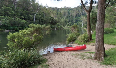 Platypus Flat Campground - Taree Accommodation 2
