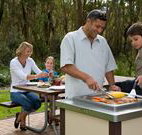 Port Stephens Treescape - Taree Accommodation