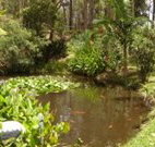 Tallowood Ridge B and B - Taree Accommodation