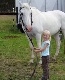 Three Waters High Country Holidays - Taree Accommodation 0