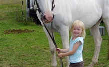 Three Waters High Country Holidays - Taree Accommodation 2