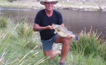 Three Waters High Country Holidays - Taree Accommodation 1