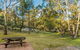 Warrabah Campground And Picnic Area - thumb 1