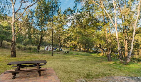 Warrabah Campground And Picnic Area - Taree Accommodation 1