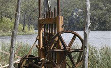 Yalwal Camp Ground - Taree Accommodation 0