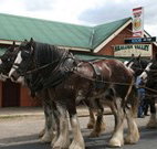 Araluen Valley Hotel - Araluen - Taree Accommodation