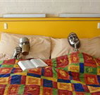 Budget Winchester Motel - Moree - Taree Accommodation