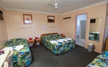 Civic Motel Grafton - Grafton - Taree Accommodation 2