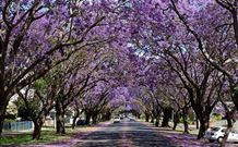 Civic Motel Grafton - Grafton - Taree Accommodation 5