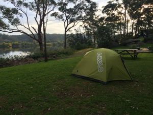 Shoalhaven Zoo Camping Reserve - Taree Accommodation 0