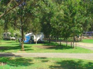 Weeroona Caravan Park - Taree Accommodation 2