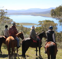 Reynella Homestead and Horseback Rides - Taree Accommodation