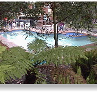 Motel Marengo - Taree Accommodation