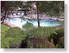 Motel Marengo - Taree Accommodation 0