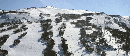 Thredbo Alpine Hotel - Taree Accommodation