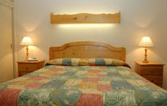 Best Western Fawkner Airport Motor Inn & Serviced Apartments - Taree Accommodation 1