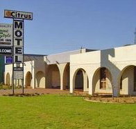 Citrus Motel - Taree Accommodation