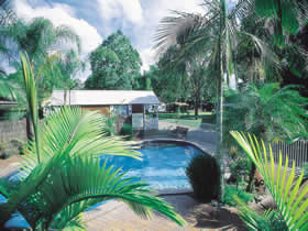 Maroochy River Cabin Village & Caravan Park - Taree Accommodation 1