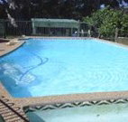 Tree Motel - Narooma - Taree Accommodation