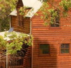 Barrington Tops Organic Retreat - Taree Accommodation