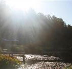 Blair Athol Estate - Taree Accommodation