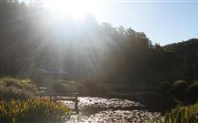 Blair Athol Estate - Taree Accommodation 0