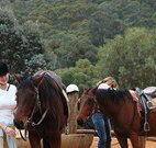 Clark Bay Cottages - Taree Accommodation