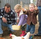 Linga Longa Farm Wingham - Taree Accommodation