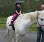 Mansfield Cottage Barrington Tops Accommodation - Taree Accommodation