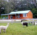 Moorallie Cottage Farm Stay - Taree Accommodation