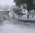 Tirrintippin - Taree Accommodation