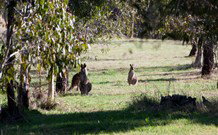 Amazing Country Escapes - Lakeview Luxury Cabins - Taree Accommodation 2