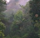 Havans Ecotourist Retreat - - Taree Accommodation