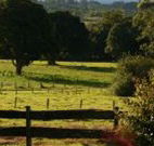 Pines on the Plateau - Taree Accommodation