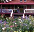 Rose Patch Bed and Breakfast - Taree Accommodation
