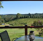 The Shed B and B - Taree Accommodation