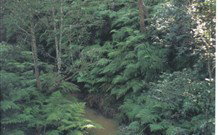Eco Huts - Jervis Bay Getaways - Taree Accommodation 1