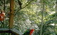 Eco Huts - Jervis Bay Getaways - thumb 2