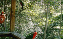 Eco Huts - Jervis Bay Getaways - Taree Accommodation 2