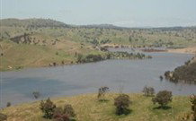 In The Heart Of Husky - Taree Accommodation 0