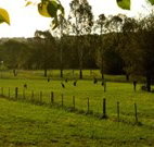 Stone Cottage Mittagong - Taree Accommodation