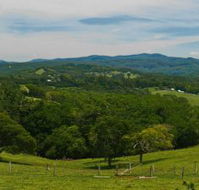Nightcap Cottage - Taree Accommodation